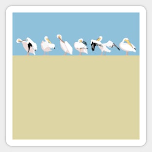 Pelican Ablutions Sticker